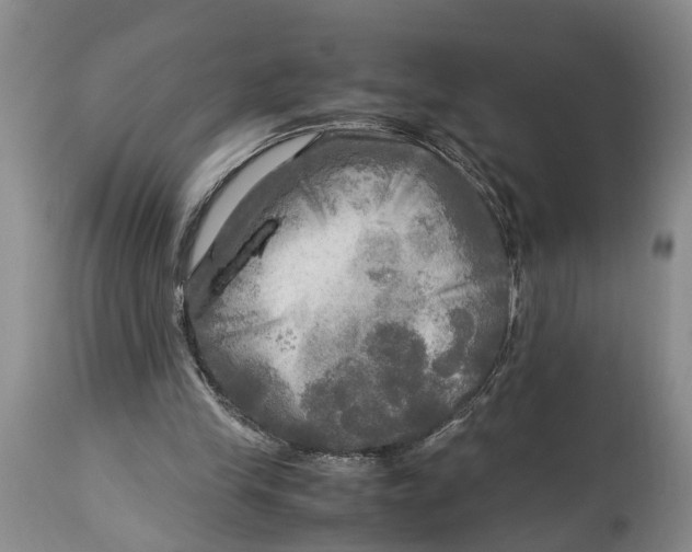 X0000114560245200911091224