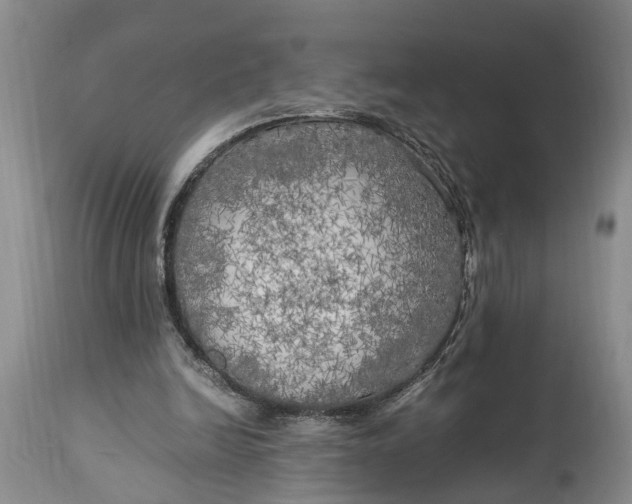 X0000114560246200911091224