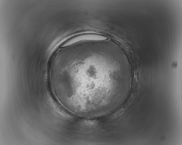 X0000114560247200911091224