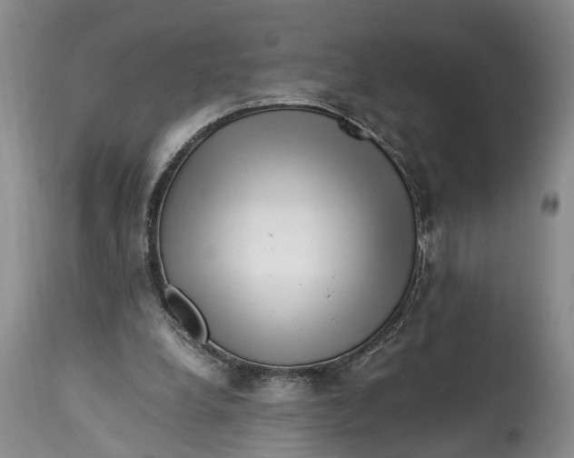 X0000114560248200911091224