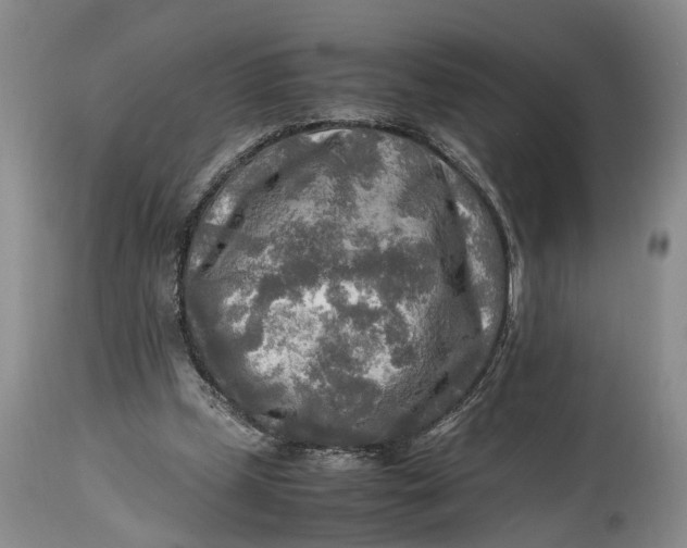 X0000114560249200911091224
