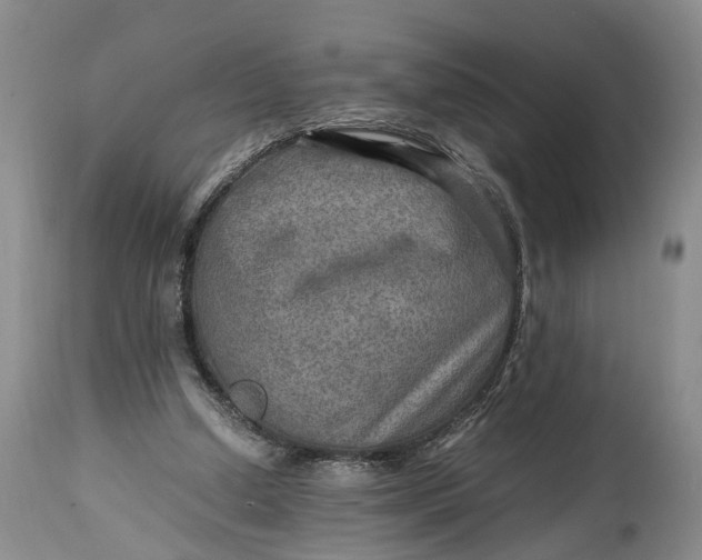 X0000114560250200911091224