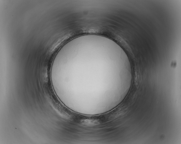 X0000114560251200911091224