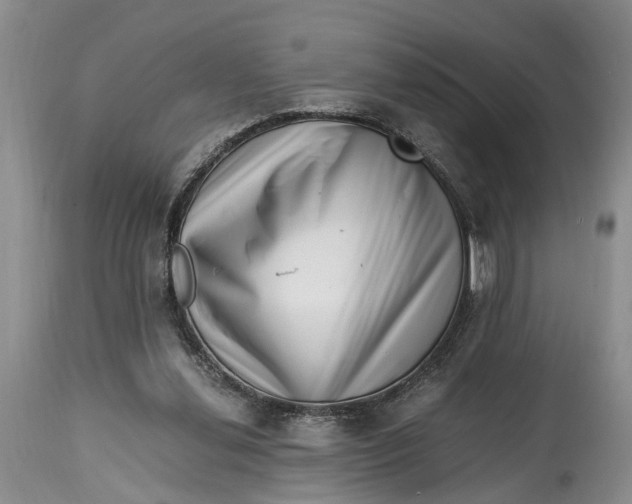 X0000114560252200911091224