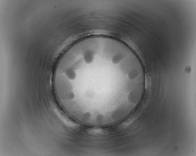 X0000114560253200911091224