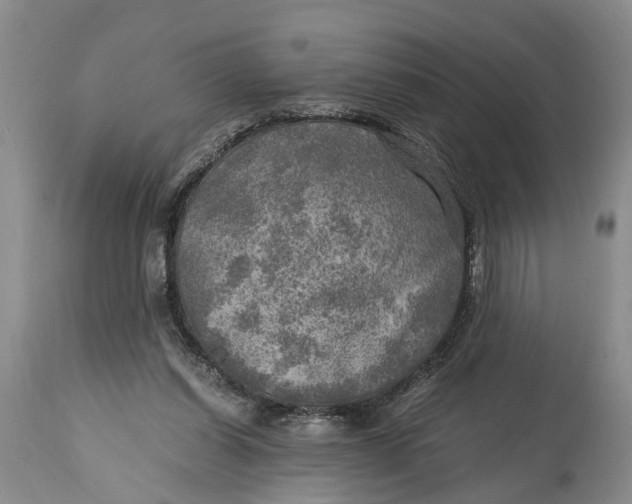 X0000114560254200911091224