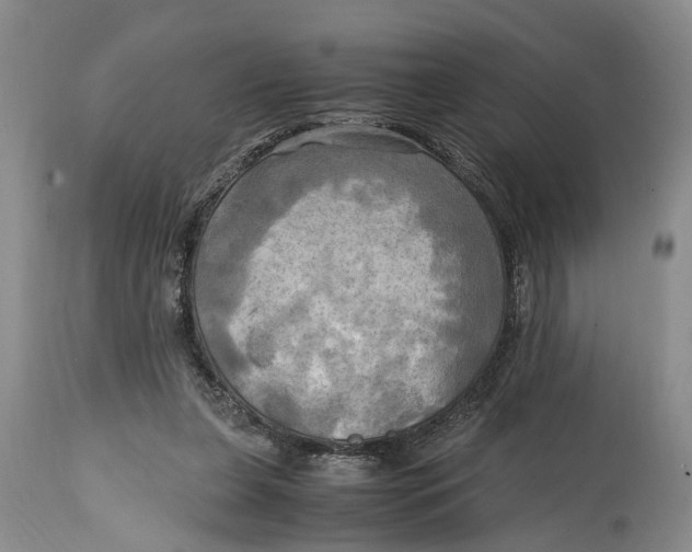 X0000114560255200911091224