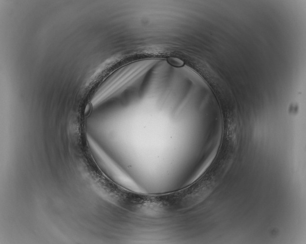 X0000114560256200911091224