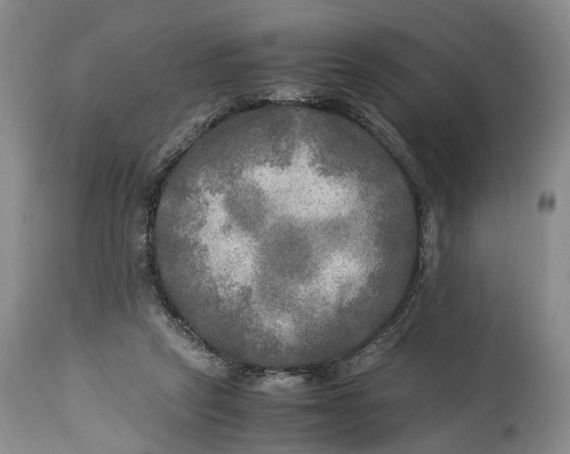 X0000114560257200911091224