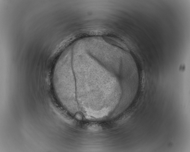 X0000114560258200911091224