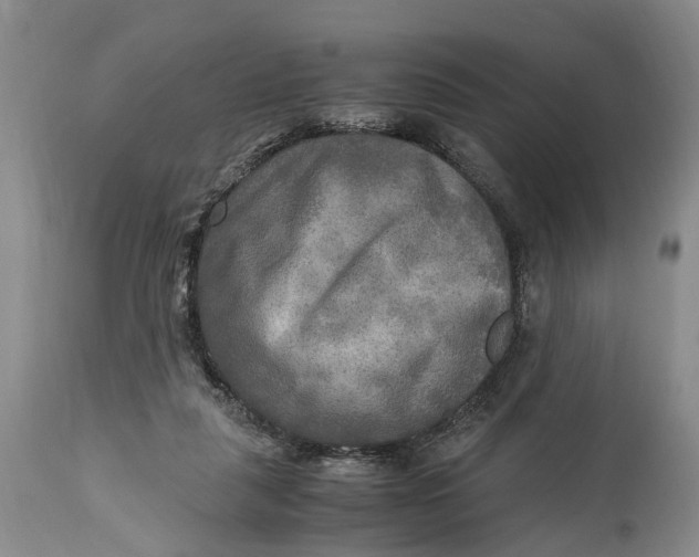 X0000114560259200911091224