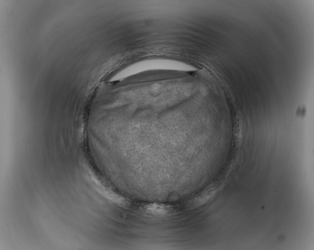 X0000114560261200911091224