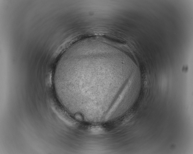 X0000114560262200911091224