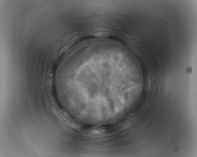 X0000114560263200911091224