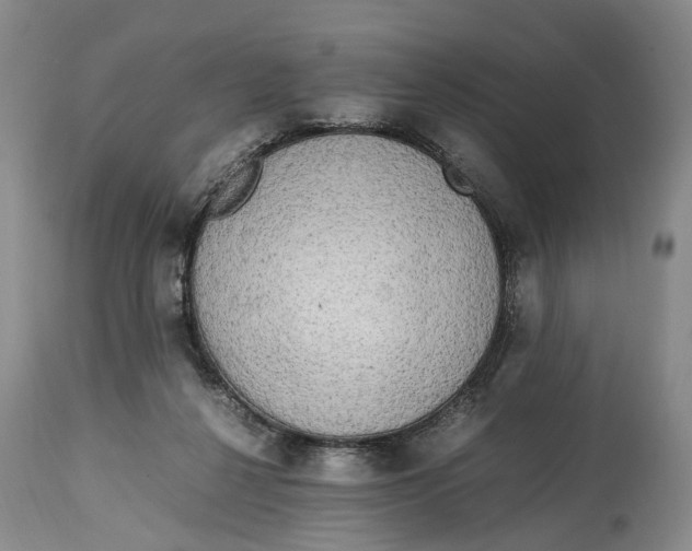 X0000114560264200911091224