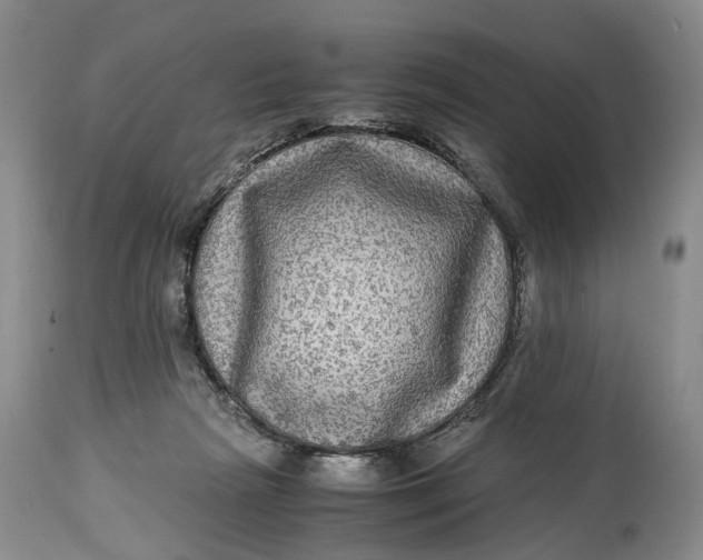 X0000114560265200911091224