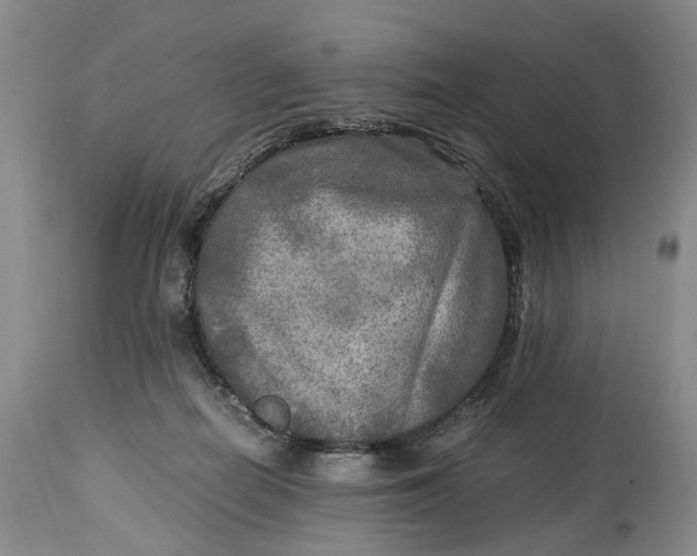 X0000114560266200911091224