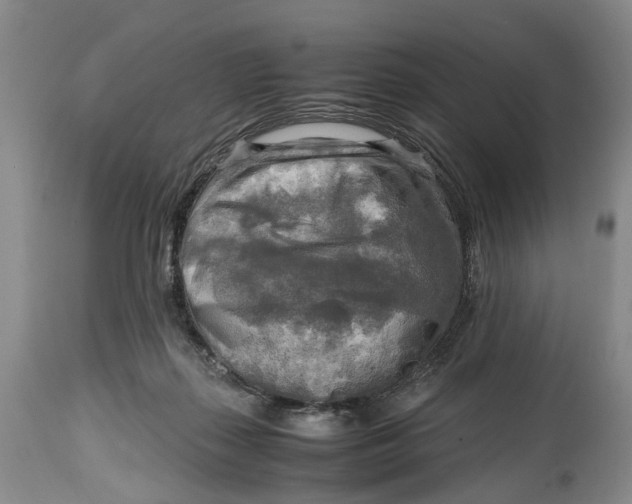 X0000114560267200911091224