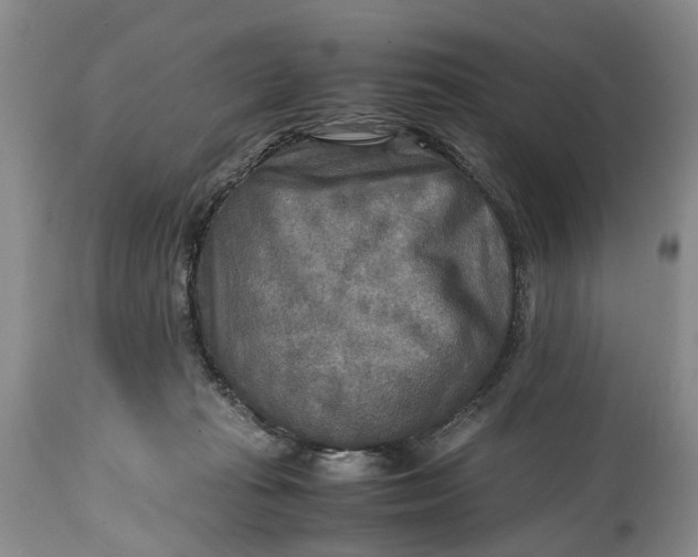X0000114560269200911091224