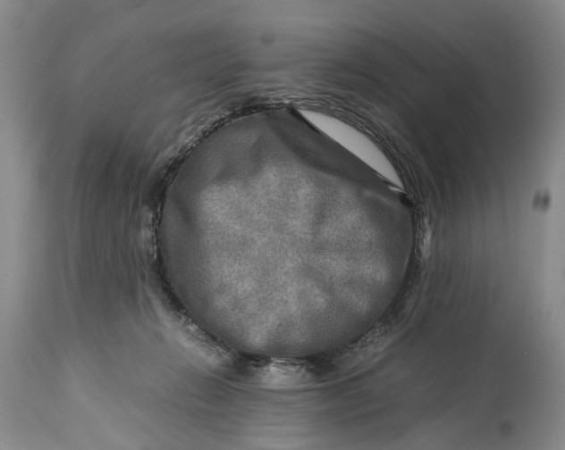 X0000114560270200911091224