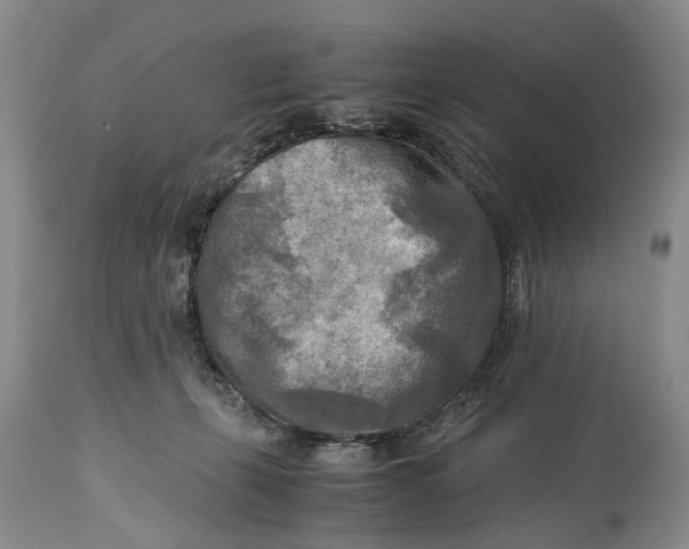 X0000114560271200911091224