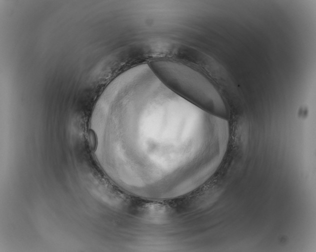 X0000114560272200911091224