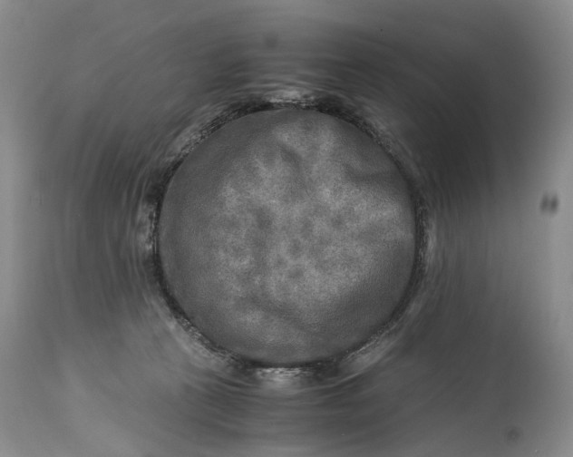 X0000114560273200911091225