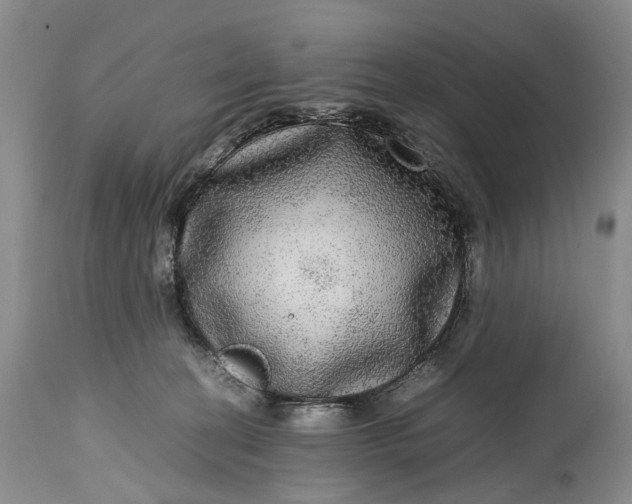 X0000114560274200911091225