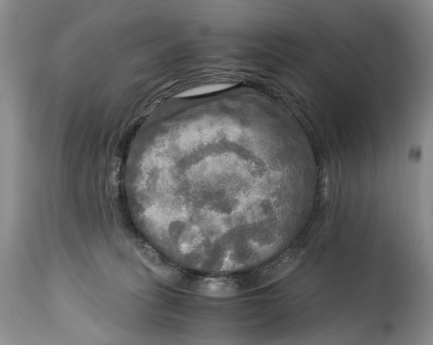X0000114560275200911091225
