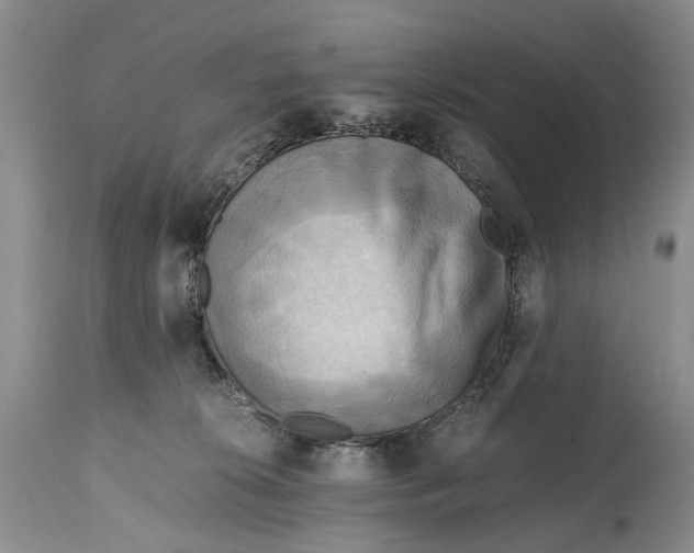 X0000114560276200911091225