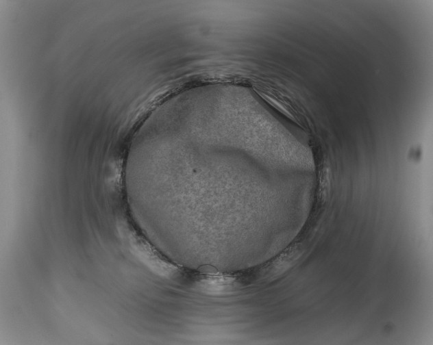 X0000114560278200911091225