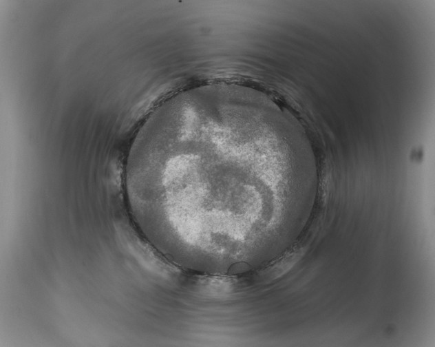 X0000114560282200911091225
