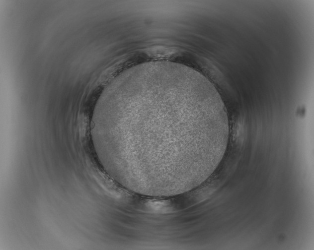X0000114560283200911091225