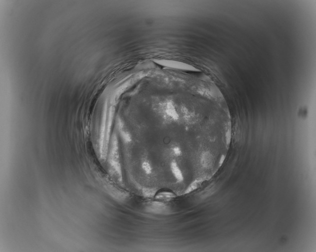 X0000114560285200911091225