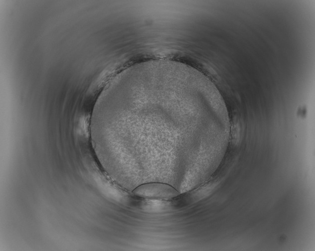 X0000114560286200911091225