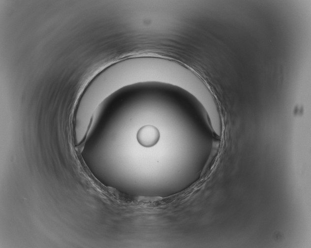 X0000114560289200911091224