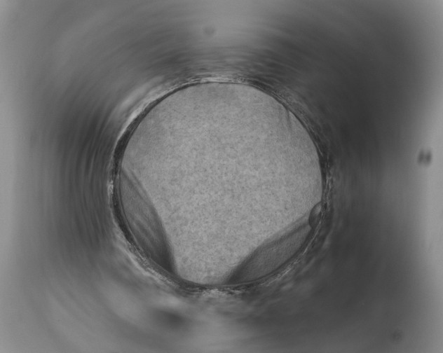 X0000114560290200911091224