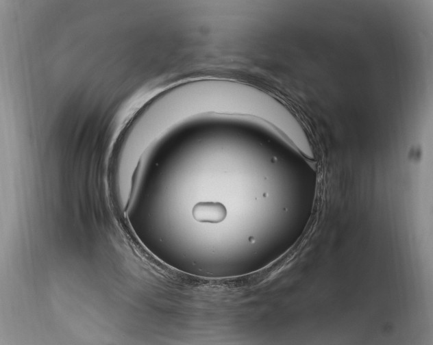 X0000114560294200911091224