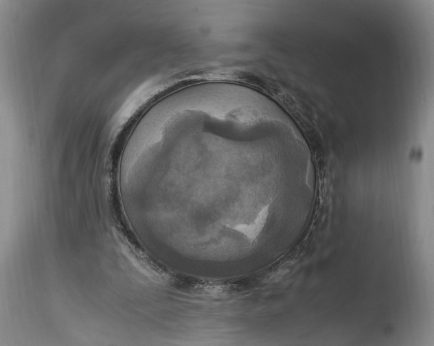 X0000114560295200911091224