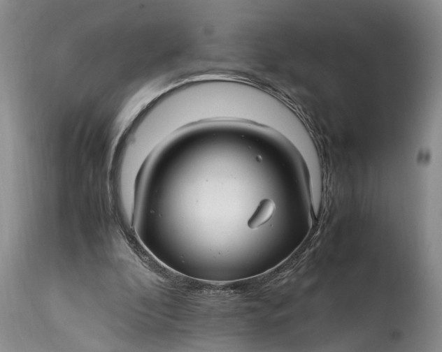 X0000114560296200911091224