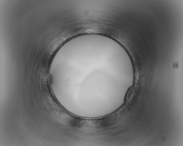 X0000114560297200911091224