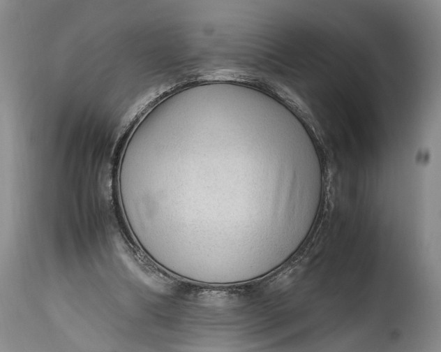 X0000114560298200911091224