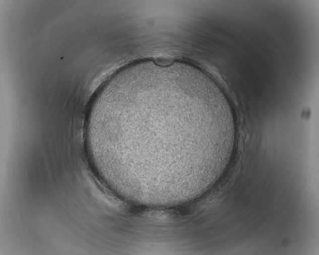 X0000114560299200911091224