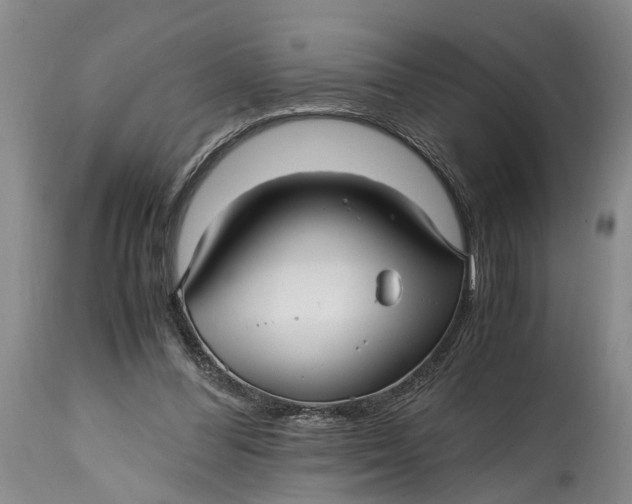 X0000114560300200911091224