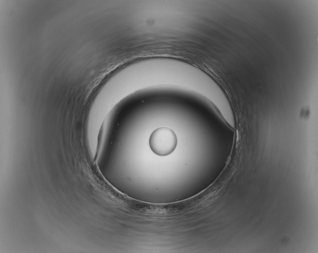 X0000114560301200911091224