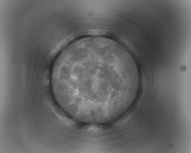 X0000114560303200911091224
