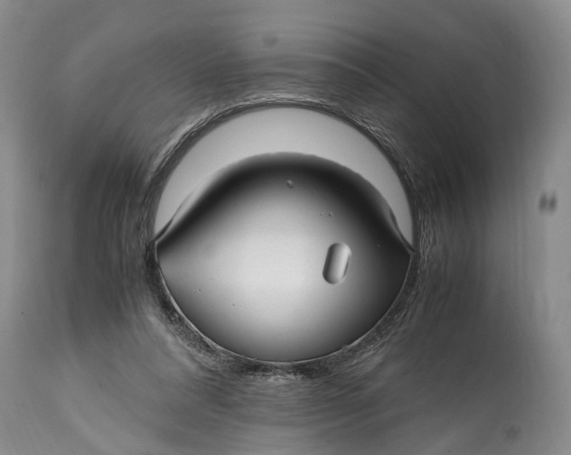 X0000114560304200911091224