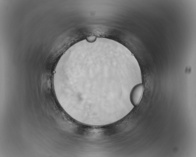 X0000114560313200911091224