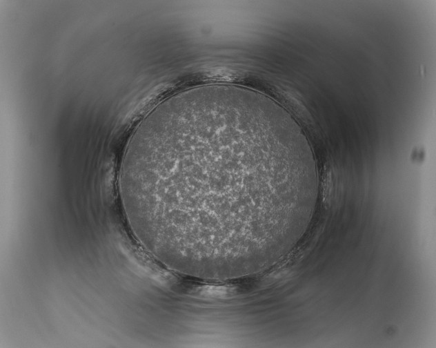 X0000114560314200911091224