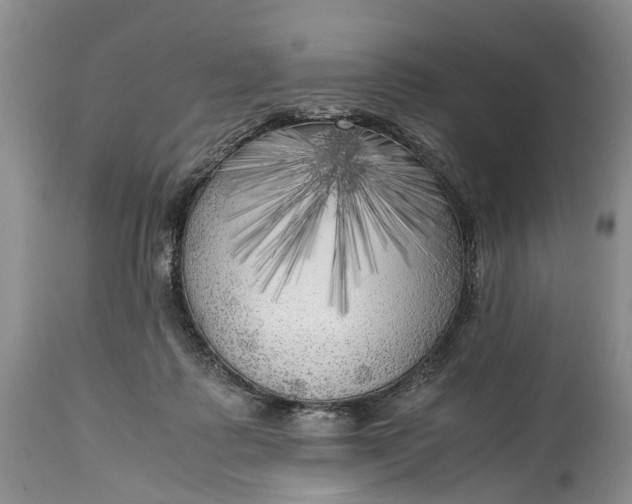 X0000114560315200911091224